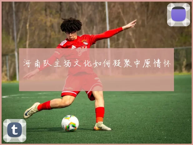 河南队主场文化如何凝聚中原情怀
