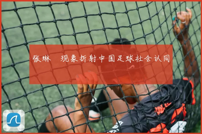 张琳芃现象折射中国足球社会认同