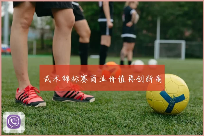 武术锦标赛商业价值再创新高