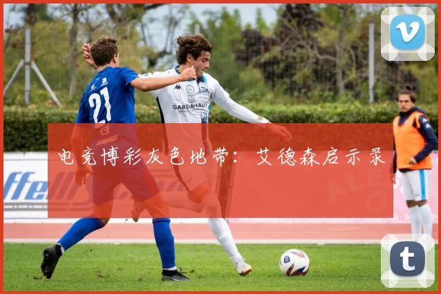 电竞博彩灰色地带：艾德森启示录