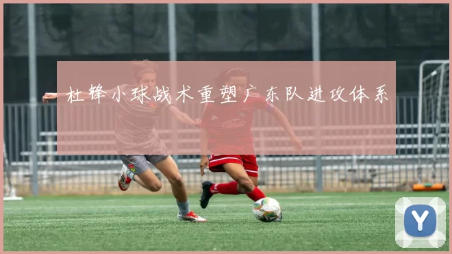 杜锋小球战术重塑广东队进攻体系