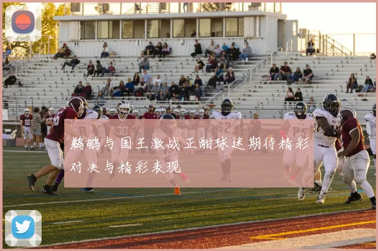 鹈鹕与国王激战正酣球迷期待精彩对决与精彩表现