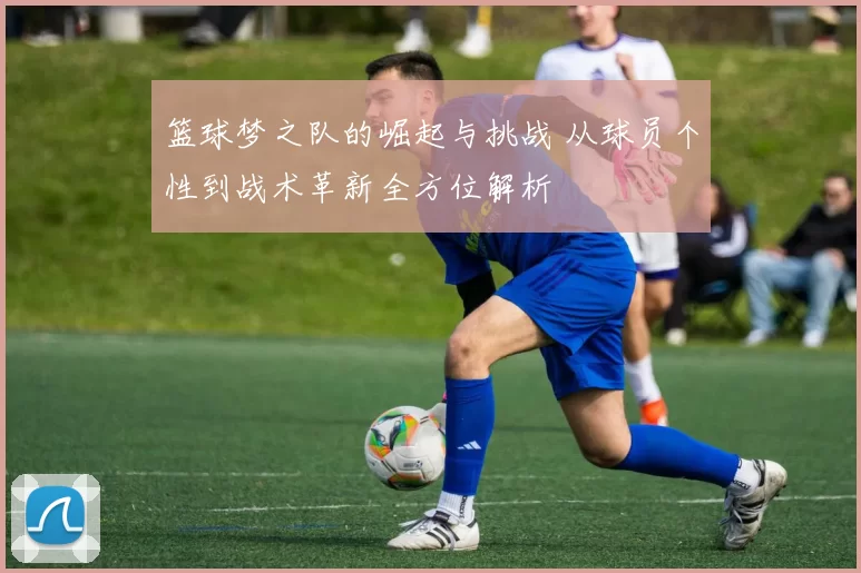篮球梦之队的崛起与挑战 从球员个性到战术革新全方位解析