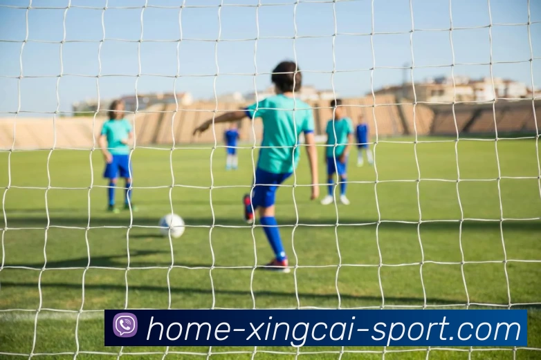 杏彩官网APP 体育赛事宣传图